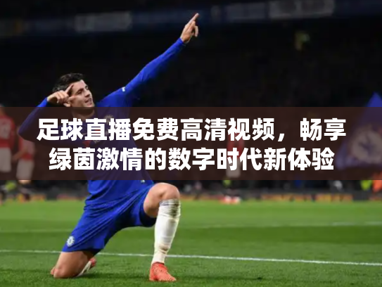 足球直播免费高清视频，畅享绿茵激情的数字时代新体验