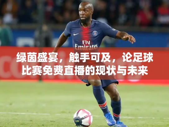绿茵盛宴，触手可及，论足球比赛免费直播的现状与未来