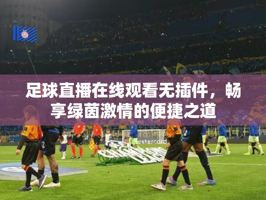 足球直播在线观看无插件，畅享绿茵激情的便捷之道