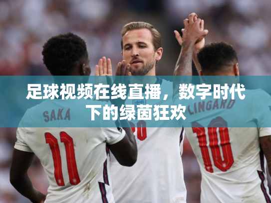 足球视频在线直播，数字时代下的绿茵狂欢