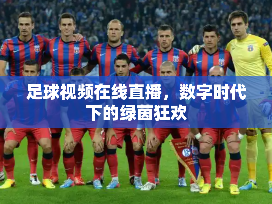 足球视频在线直播，数字时代下的绿茵狂欢