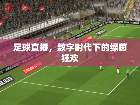 足球直播，数字时代下的绿茵狂欢
