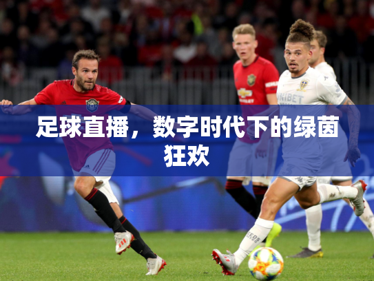 足球直播，数字时代下的绿茵狂欢