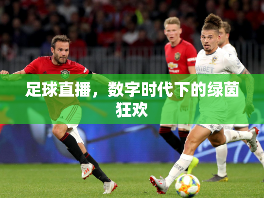 足球直播，数字时代下的绿茵狂欢
