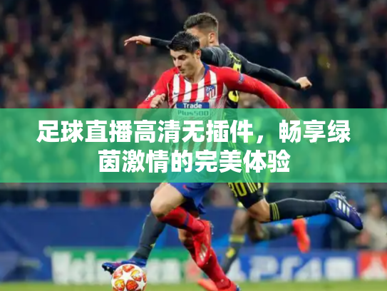 足球直播高清无插件，畅享绿茵激情的完美体验