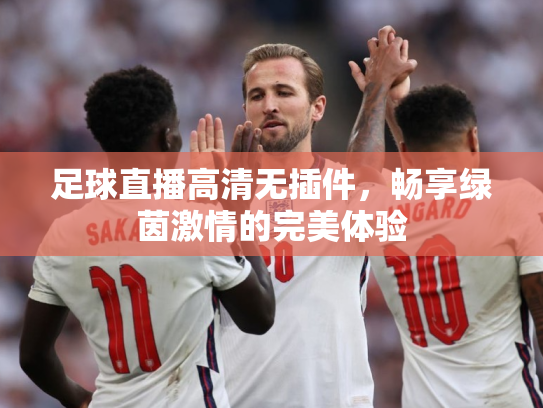 足球直播高清无插件，畅享绿茵激情的完美体验