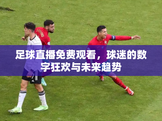 足球直播免费观看，球迷的数字狂欢与未来趋势
