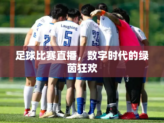 足球比赛直播，数字时代的绿茵狂欢