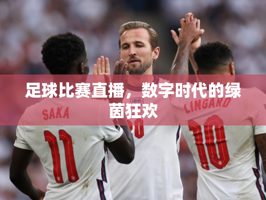 足球比赛直播，数字时代的绿茵狂欢