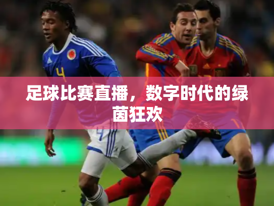 足球比赛直播，数字时代的绿茵狂欢