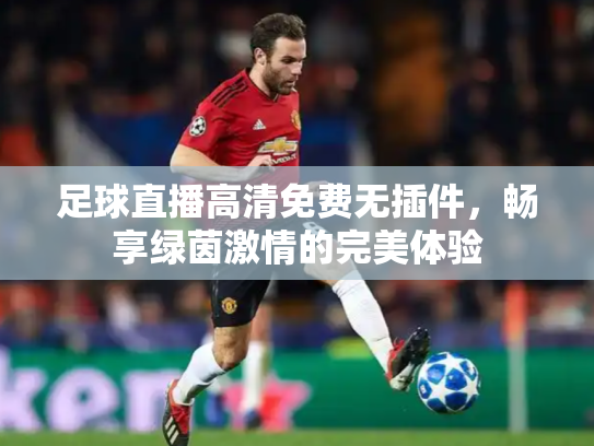 足球直播高清免费无插件，畅享绿茵激情的完美体验