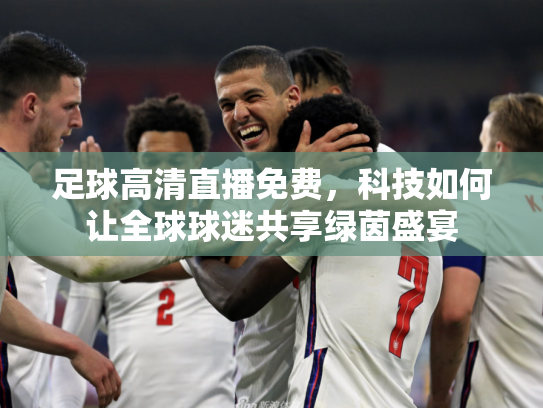 足球高清直播免费，科技如何让全球球迷共享绿茵盛宴