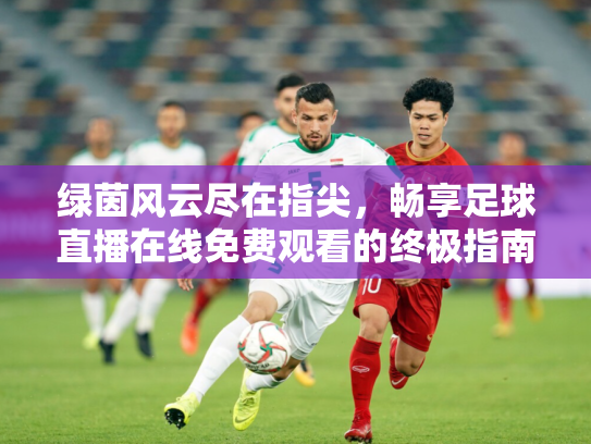 绿茵风云尽在指尖，畅享足球直播在线免费观看的终极指南