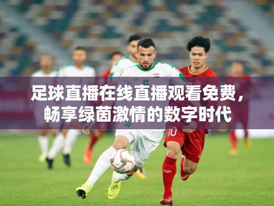足球直播在线直播观看免费，畅享绿茵激情的数字时代