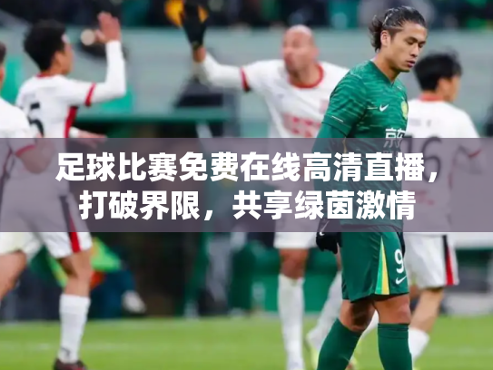 足球比赛免费在线高清直播，打破界限，共享绿茵激情