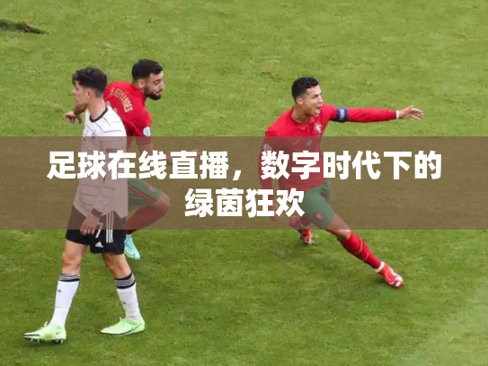足球在线直播，数字时代下的绿茵狂欢