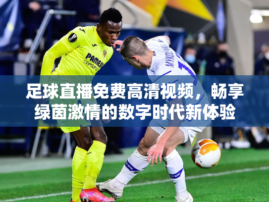 足球直播免费高清视频，畅享绿茵激情的数字时代新体验