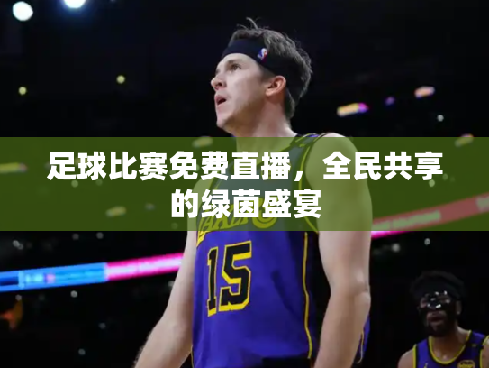 足球比赛免费直播，全民共享的绿茵盛宴
