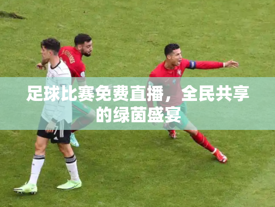 足球比赛免费直播，全民共享的绿茵盛宴