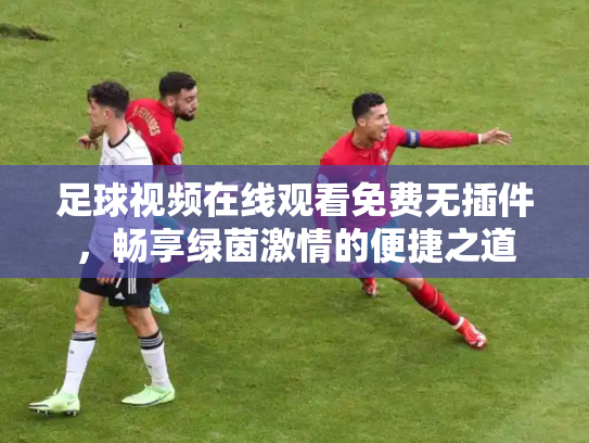 足球视频在线观看免费无插件，畅享绿茵激情的便捷之道