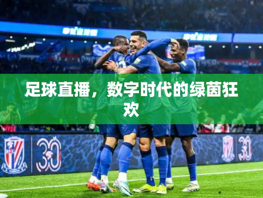 足球直播，数字时代的绿茵狂欢
