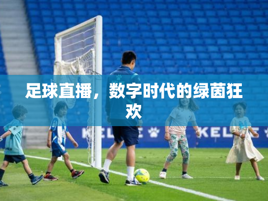 足球直播，数字时代的绿茵狂欢