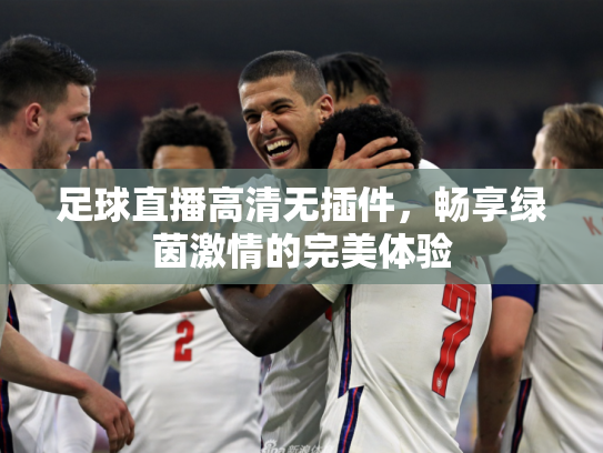 足球直播高清无插件，畅享绿茵激情的完美体验