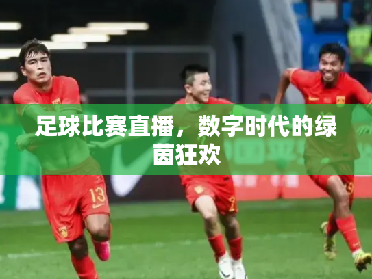 足球比赛直播，数字时代的绿茵狂欢