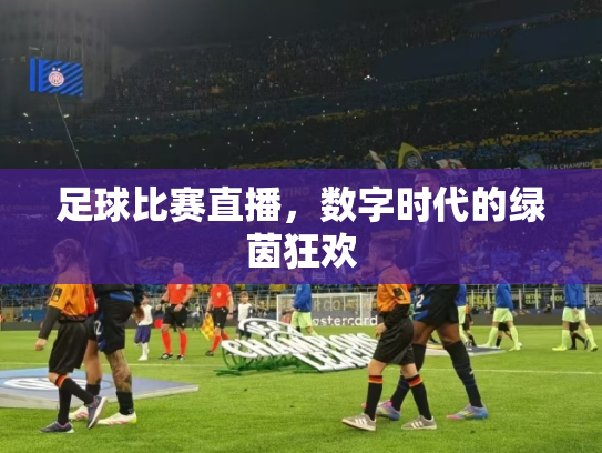 足球比赛直播，数字时代的绿茵狂欢