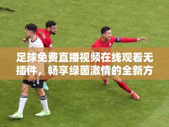 足球免费直播视频在线观看无插件，畅享绿茵激情的全新方式