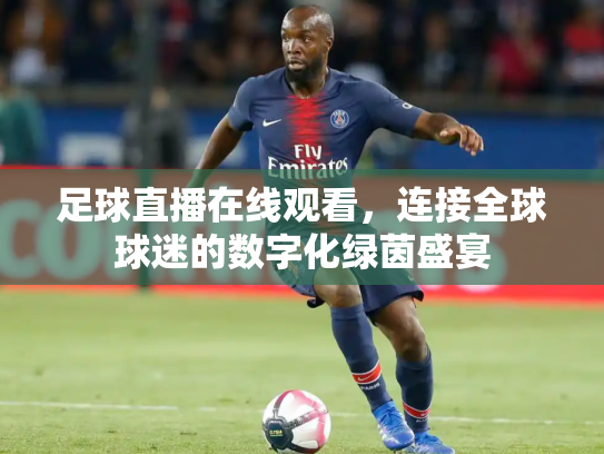 足球直播在线观看，连接全球球迷的数字化绿茵盛宴