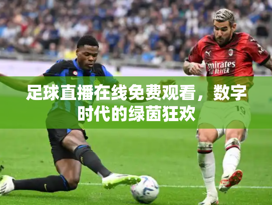 足球直播在线免费观看，数字时代的绿茵狂欢