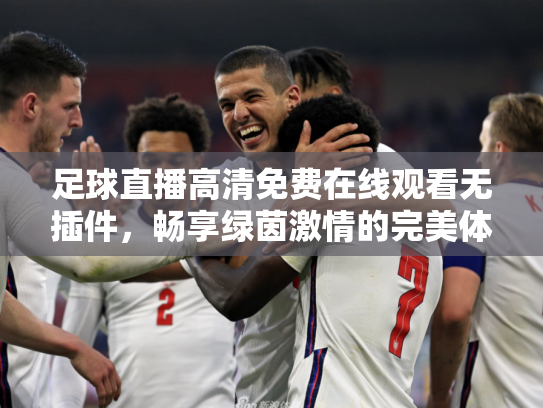 足球直播高清免费在线观看无插件，畅享绿茵激情的完美体验