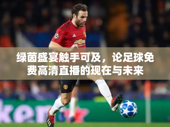绿茵盛宴触手可及，论足球免费高清直播的现在与未来