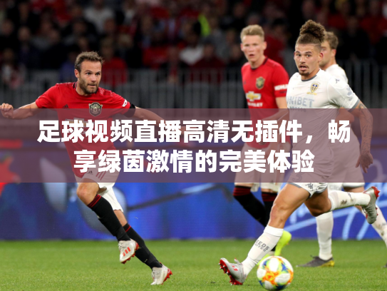 足球视频直播高清无插件，畅享绿茵激情的完美体验