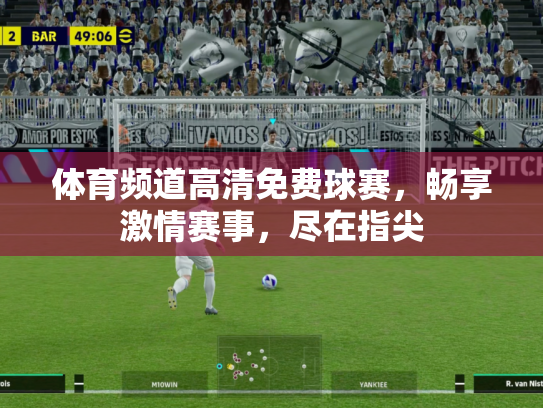 体育频道高清免费球赛，畅享激情赛事，尽在指尖