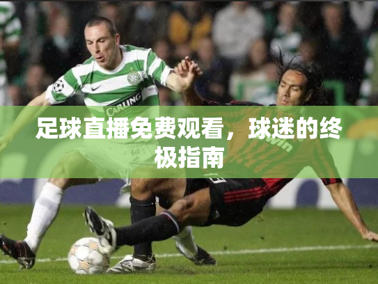 足球直播免费观看，球迷的终极指南