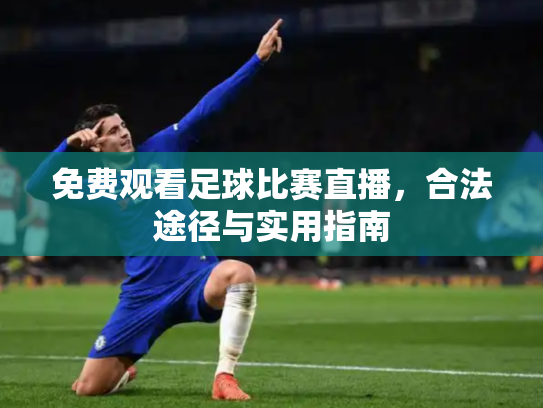 免费观看足球比赛直播，合法途径与实用指南