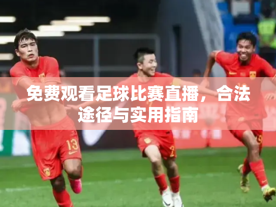 免费观看足球比赛直播，合法途径与实用指南