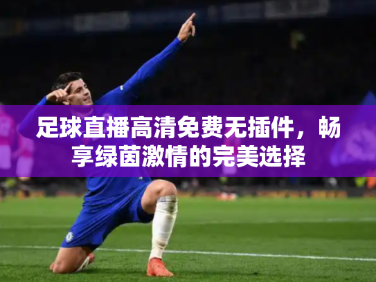 足球直播高清免费无插件，畅享绿茵激情的完美选择