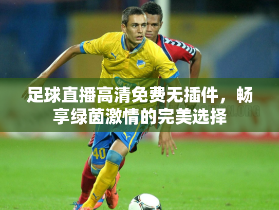 足球直播高清免费无插件，畅享绿茵激情的完美选择