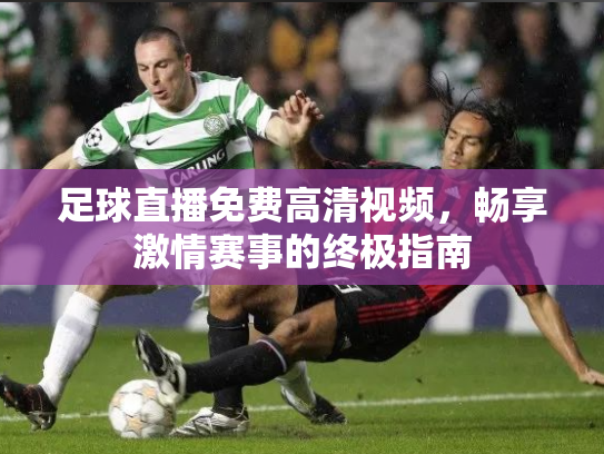 足球直播免费高清视频，畅享激情赛事的终极指南