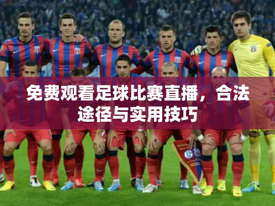 免费观看足球比赛直播，合法途径与实用技巧