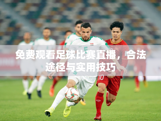 免费观看足球比赛直播，合法途径与实用技巧