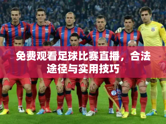 免费观看足球比赛直播，合法途径与实用技巧