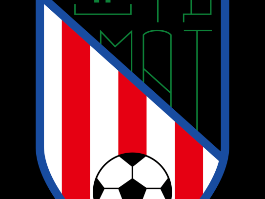 光州FC，小城奇迹背后的足球哲学与共同体精神
