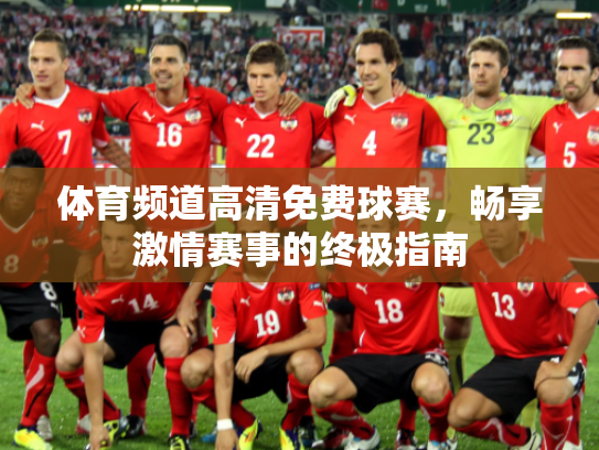 体育频道高清免费球赛，畅享激情赛事的终极指南