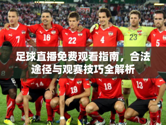 足球直播免费观看指南，合法途径与观赛技巧全解析
