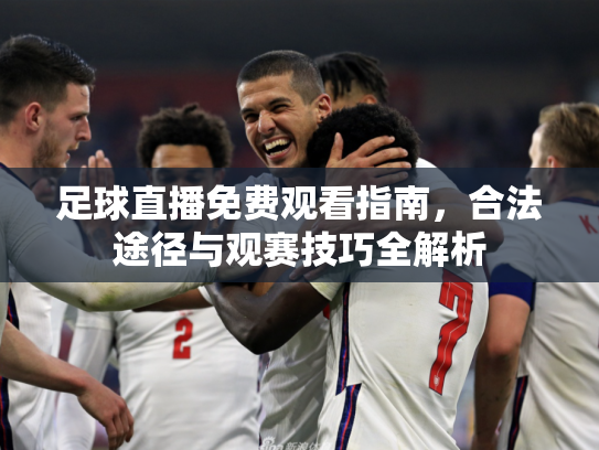 足球直播免费观看指南，合法途径与观赛技巧全解析