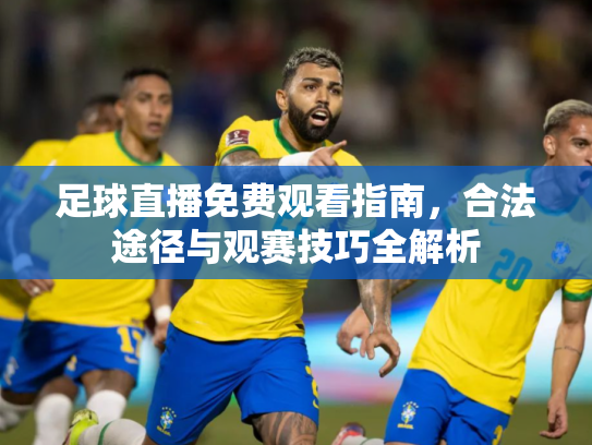 足球直播免费观看指南，合法途径与观赛技巧全解析